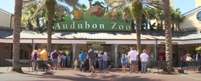 Audubon Zoo