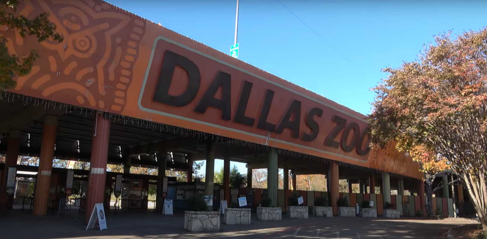 Dallas Zoo